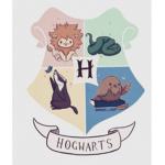Hogwarts: The school of Magic