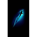 Sharks are
