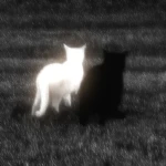 гот Group Thumbnail