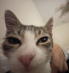 Ppeppa