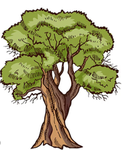 Treee time!