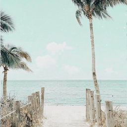 🌊