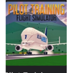 pilot training flight simulator group