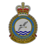 12 Wing Shearwater