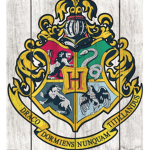 Harry___Potter____Group