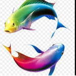 Fish united :3