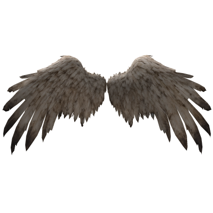 Dirty Angel Wings
