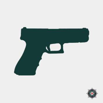 PSNI Combat Training