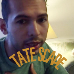 [BETA] TATE SCAPE