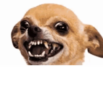 Minecrat Gaming