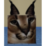 Floppadabest