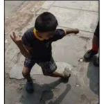 Los insanos guasa