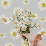 Daisyluvs.