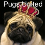 -pugs united solider group-
