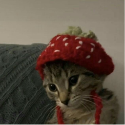 🍓