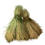 needle in a haystack