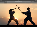 Cool and awsome sword fighters