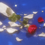 ~LeParadis~