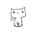 fun cat lovers