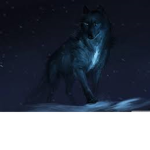 The Wolf army~