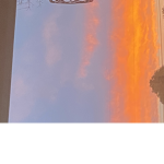 Sunset squad !!!
