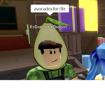 Avocado Fields