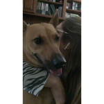 My dog is in the way