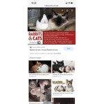 BUNNIES UNITED AGAINST RATS