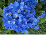 Natural nature <3