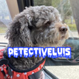 detective luis fan game