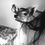 Cult of Alice<3