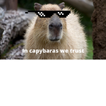 CapybarasUnited