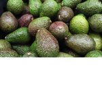 AVOCADO GANG GANG FOR LIFE