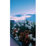 Minyøø