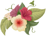Flower Poppy Military