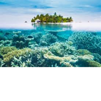 Blaze's PvP Island (Admin and Trolling GUI Power)