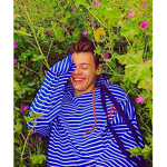 Harry stans