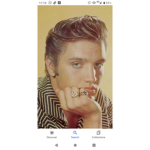 Elvis fan Army