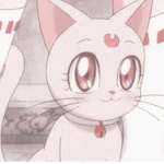 my kittens <33