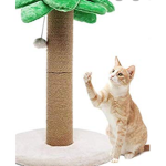 Kitty Coco