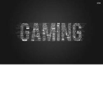 G.A.M.I.N.G inc.