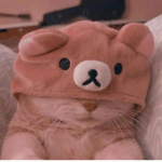 The…Bearzz