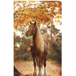 Rich girls horse love