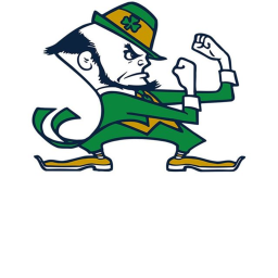 Notre Dame Fighting Irish: Notre Dame Stadium