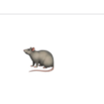 Rats can join this group U-U