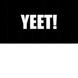 (Official) The Yeet Dudes Game