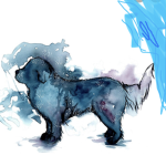 The Ice Puppers