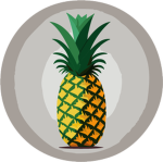 PNAPL Production
