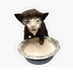 BACON MILK ;)