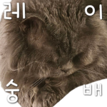 레이교